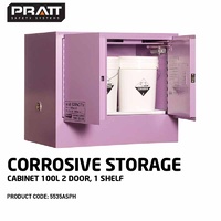 Corrosive Storage Cabinet 100L 2 Door 1 Shelf