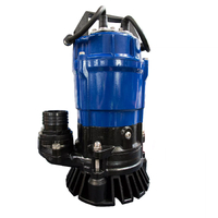 ClayTech Pumps 750W 250lpm BlueSub10 Submersible Drainage Pump 809866